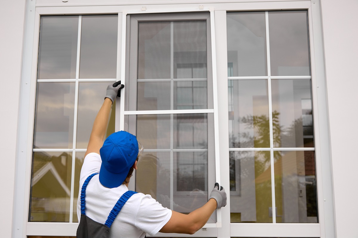Single & Double Hung Windows